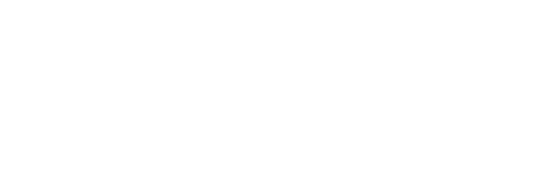 PARA-BELLUM STUDIO (bianco)